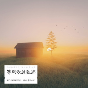 等风吹过轨迹AI版 (初版)