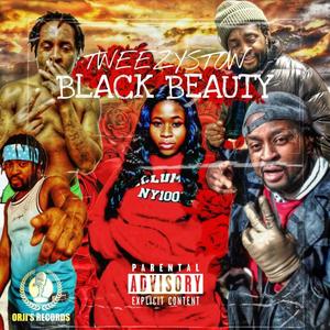 STOW-Black Beauty (Explicit)