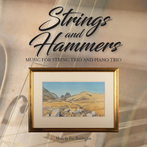 Strings and Hammers