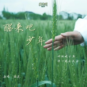 醒来吧少年