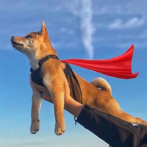 DJ一响 全场最嗨 (DJ版)