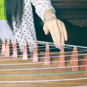 「古筝」棠梨煎雪