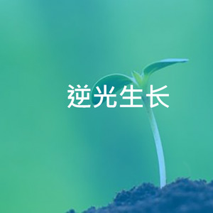 逆光生长 (Original Mix)