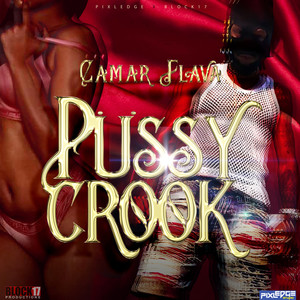 Pussy Crook (Explicit)