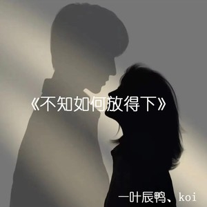 不知如何放的下