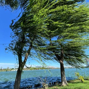 是生命的歌（是木讷的我）