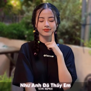 Như Anh Đã Thấy Em