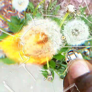 We All Fell In (Beemix)