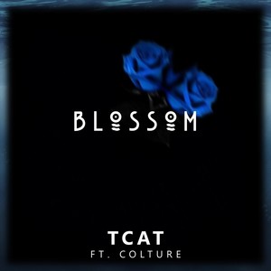 Blossom (feat. Colture)