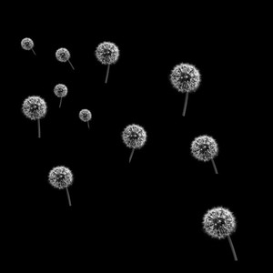 MASK MASK MASK type beat