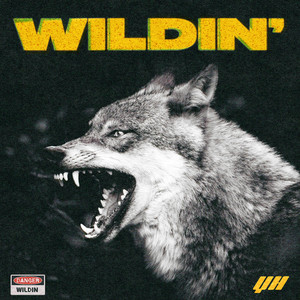 Wildin (Explicit)