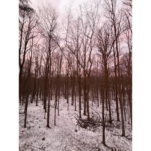 please dont' be upset