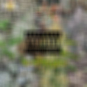 Don't Work (Explicit)