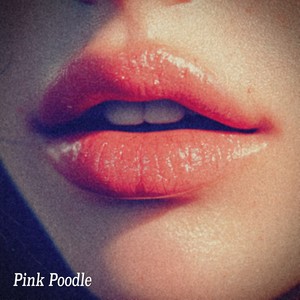 Pink Poodle