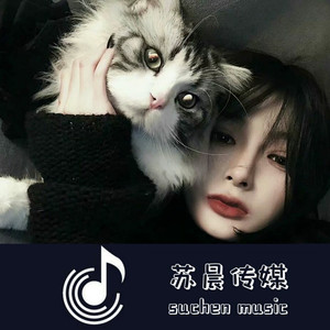 颜王子夜 - 和平精英神曲 (加速小黄人版)