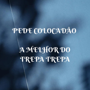 PEDE COLOCADÃO  A MELHOR DO TREPA TREPA (Explicit)