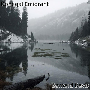 Donegal Emigrant