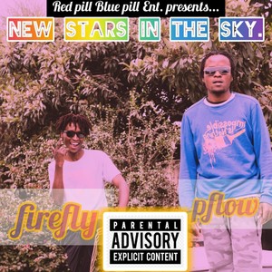 EveryDay is A Holiday (feat. Firefly & Alidi) (Explicit)