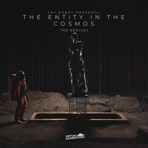 The Entity In The Cosmos : The Remixes