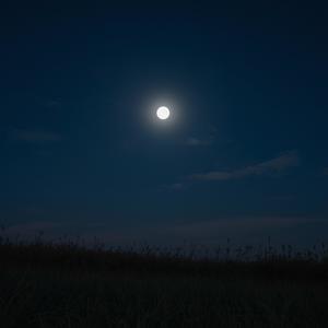 Moonlit Night