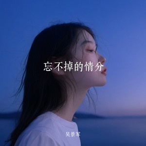 忘不掉的情分 (女声版)