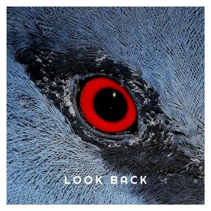 Look Back