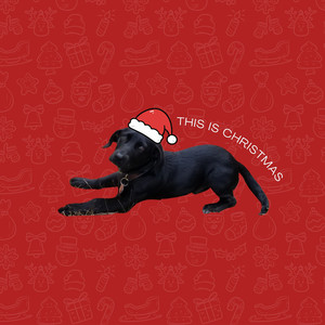 My Grown up Christmas List