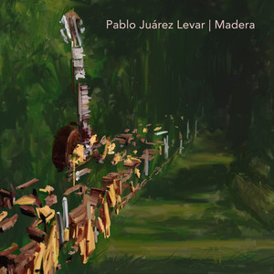 Guitarra, guitarra mía (Estilo)