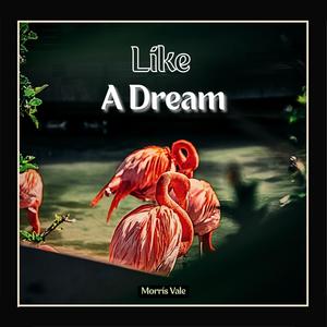 Like A Dream
