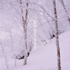 空が見えるまで