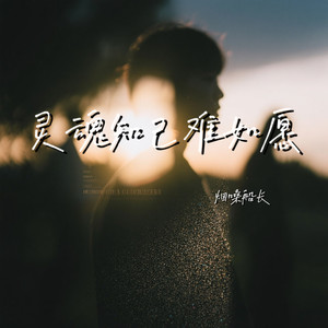 灵魂知己难如愿封面