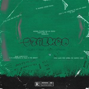 Stalkeo (feat. Salinas, Lehaanx & Souh) [Explicit]