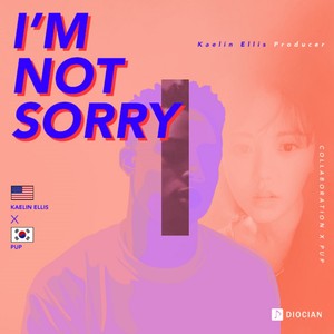 I'm Not Sorry (我没有什么对不起的)