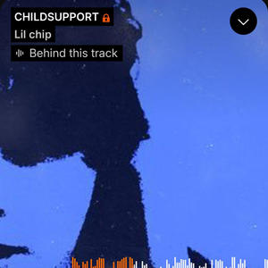 CHILDSUPPORT (Explicit)
