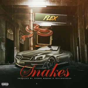 Snakes (Explicit)