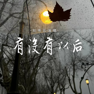 刘书云 - 有没有以后