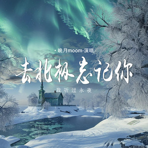 去北极忘记你 (我听过永夜)-晚月moon