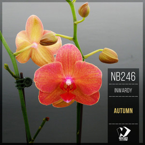 Memory Lane (Original Mix)