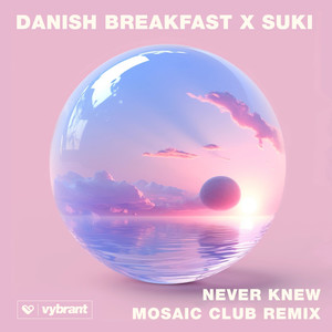 Never Knew (Mosaic Club Remix)