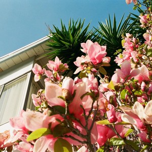 new tide (feat. halsey harkins)