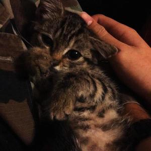 talk a lot (Explicit)