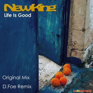 Life is Good (D.Foe Vocal Mix)