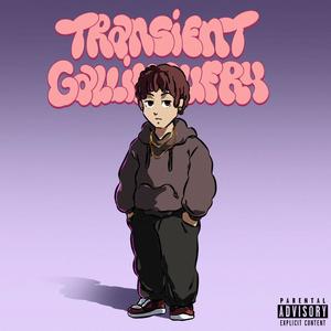 Transient Gallimaufry (Explicit)