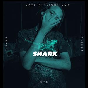 Shark (Explicit)
