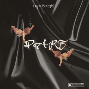 PARE