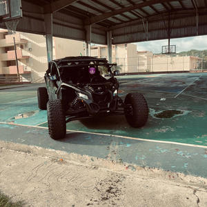 LDLM (feat. Leiiniel & Venganza) (Explicit)