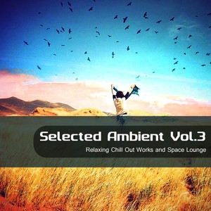 Selected Ambient, Vol.3 (Relaxing Chill Out Works and Space Lounge)