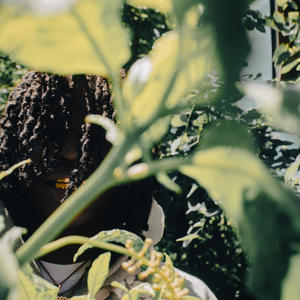 BabyChiefDoIt WENT WEST (Explicit)