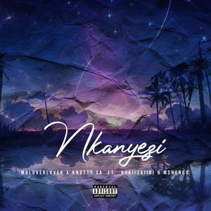 Nkanyezi (feat. Knotty_sa, KokiiZaiidi & Mshengu)