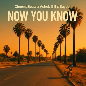 CheemaBeatz - Now You Know (Explicit)